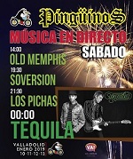 conciertos pingüinos 2019 agenda conciertos valladolid watios y decibelios