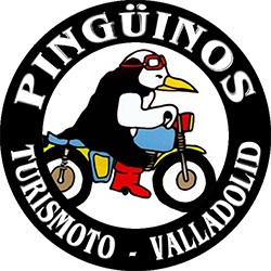 conciertos pingüinos 2019 agenda conciertos valladolid watios y decibelios